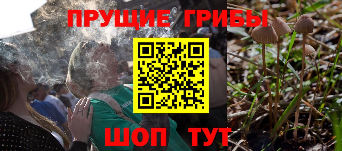 Псилоцибиновые грибы мухоморы Зеленодольск